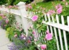 Kwikfynd Garden fencing
adelong